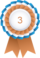 Bronze Medal